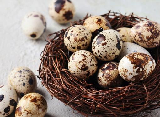 Trứng c&uacute;t v&agrave; những c&ocirc;ng dụng bất ngờ