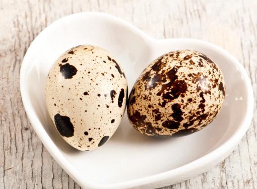 Trứng c&uacute;t bao nhi&ecirc;u calo? C&aacute;c lợi &iacute;ch tuyệt vời của trứng c&uacute;t