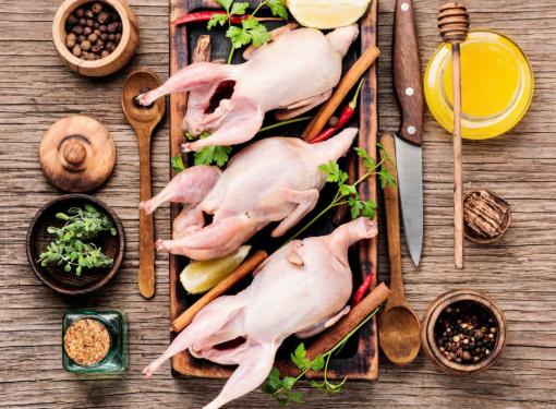 Thịt chim c&uacute;t chữa nhiều bệnh, v&iacute; như 'nh&acirc;n s&acirc;m động vật'